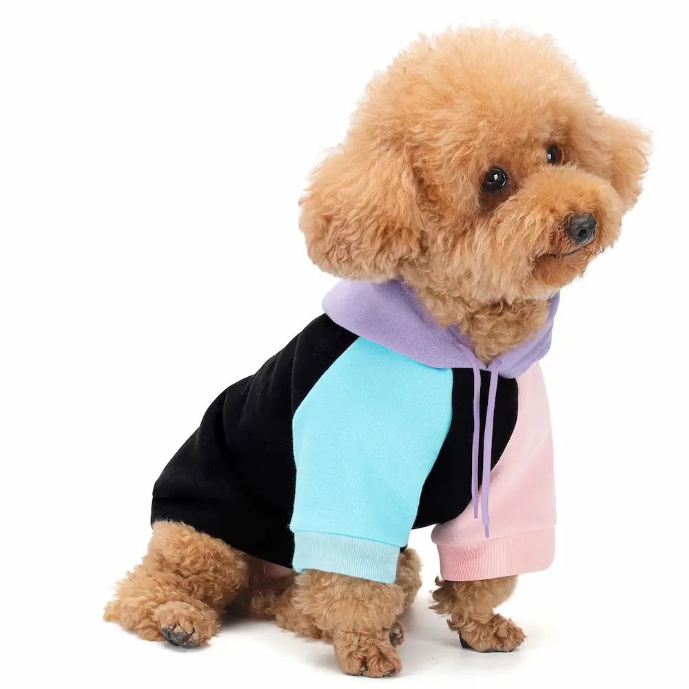 Cyber Punk Dog Hoodie