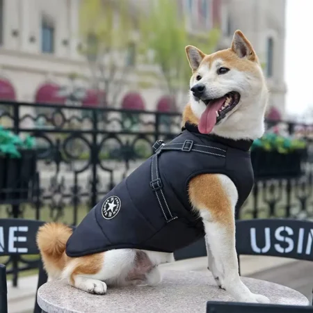 Waterproof Dog Jacket With Harness Winter Warm Dog Clothes
