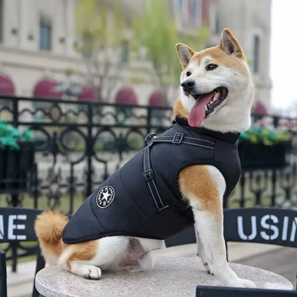 Waterproof Dog Jacket With Harness Winter Warm Dog Clothes