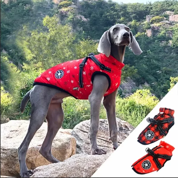 Waterproof Dog Jacket With Harness Winter Warm Dog Clothes